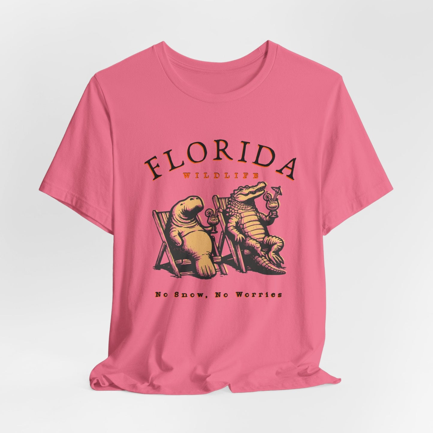 Florida No Snow No Worries Jersey Short Sleeve Tee