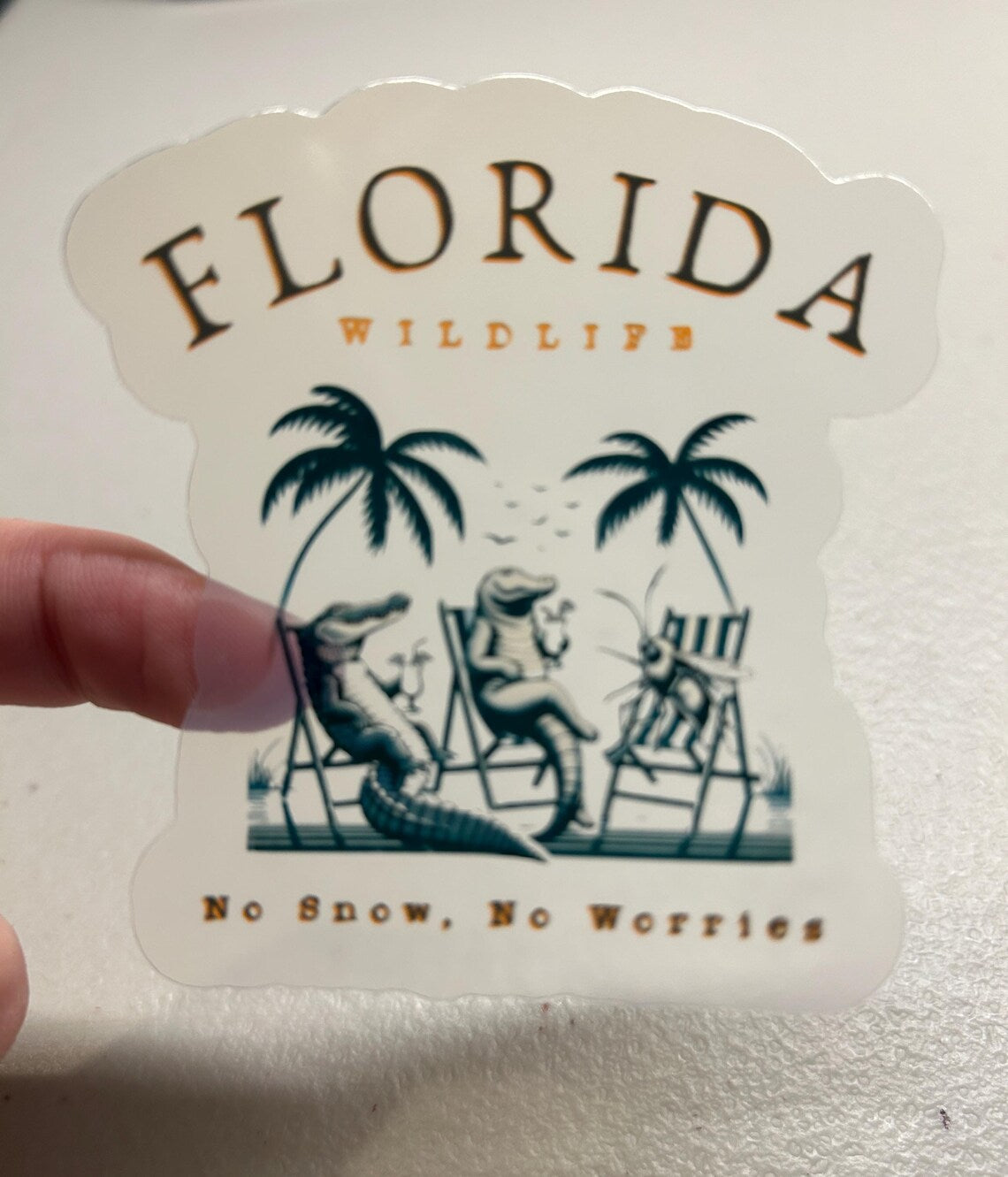 Florida No Snow No Worries v2 Translucent Vinyl Stickers