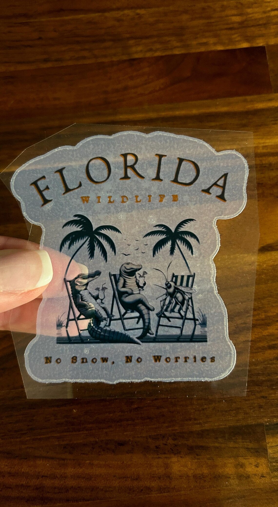 Florida No Snow No Worries v2 Translucent Vinyl Stickers