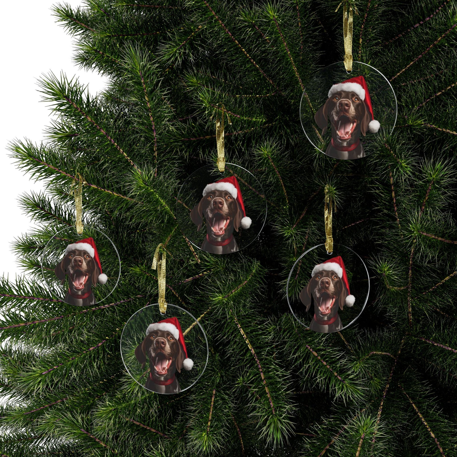 German Shorthaired Pointer GSP Santa Dog Acrylic Ornaments